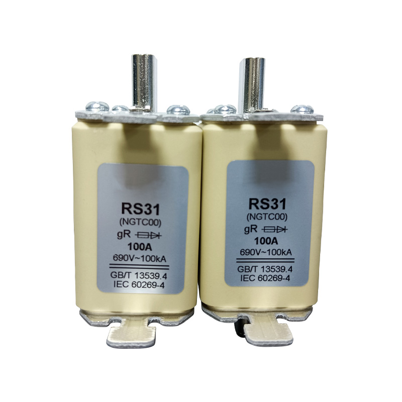 RS31 gR 690V-100A